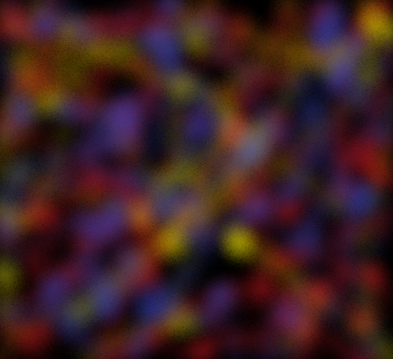 digital_gold_dust_limited_44