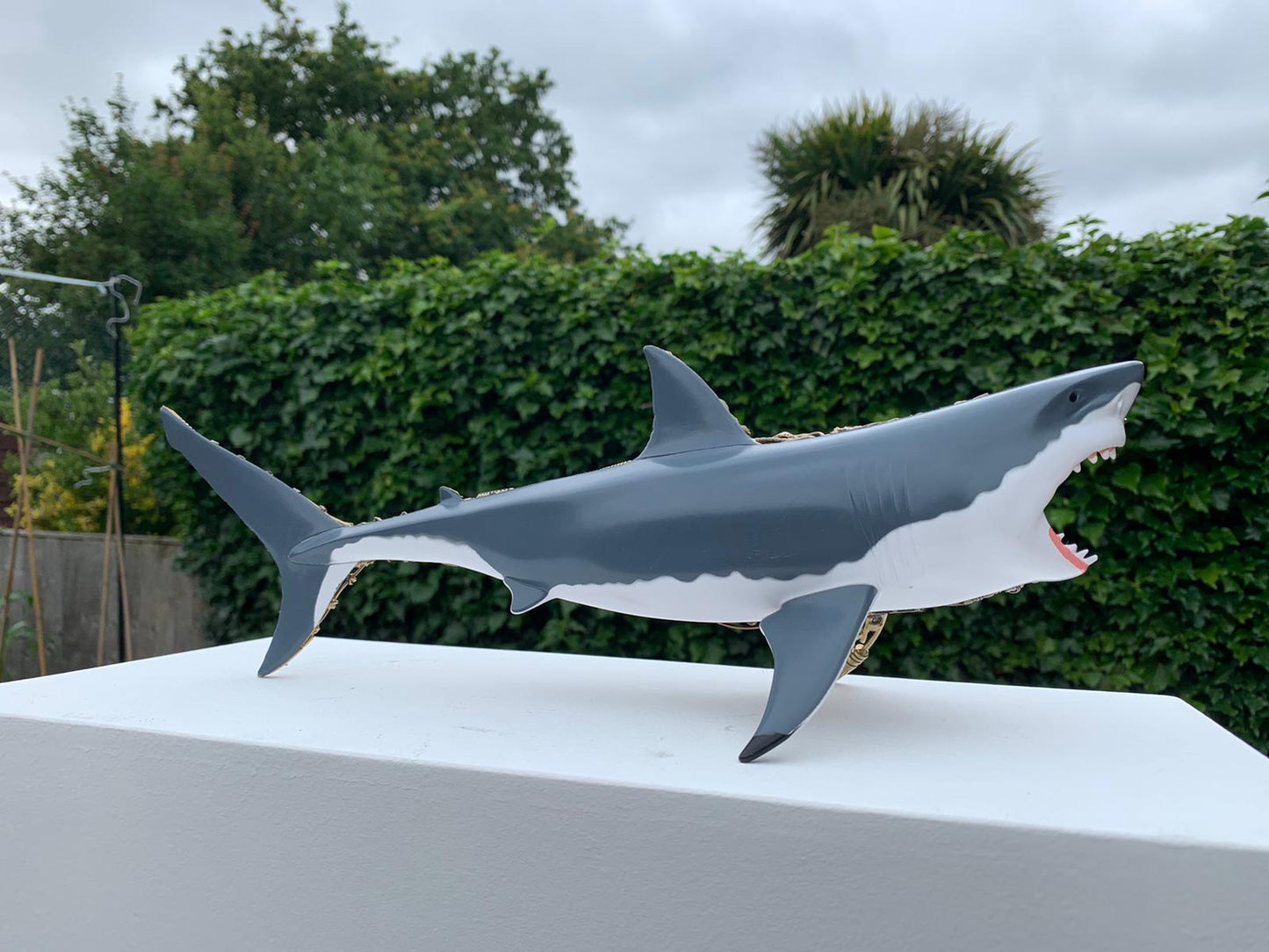 The Bionics Shark MK11